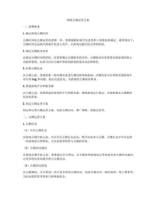 网游公测运营方案