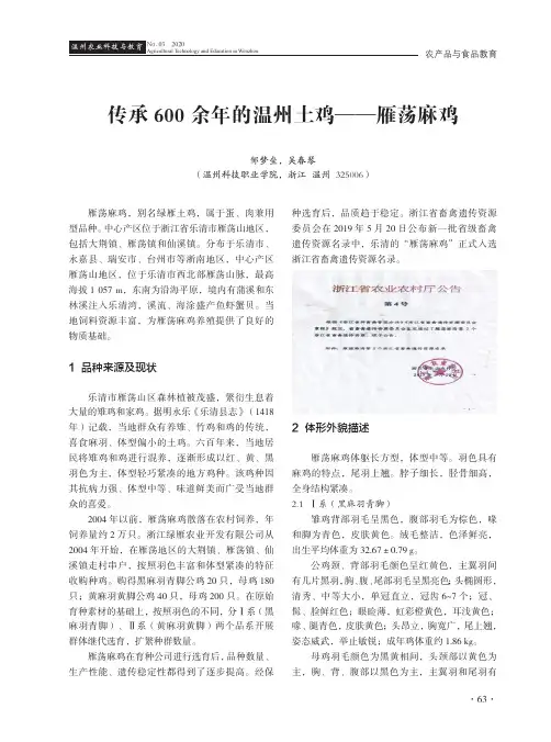 传承600余年的温州土鸡——雁荡麻鸡