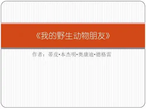 我的野生动物朋友