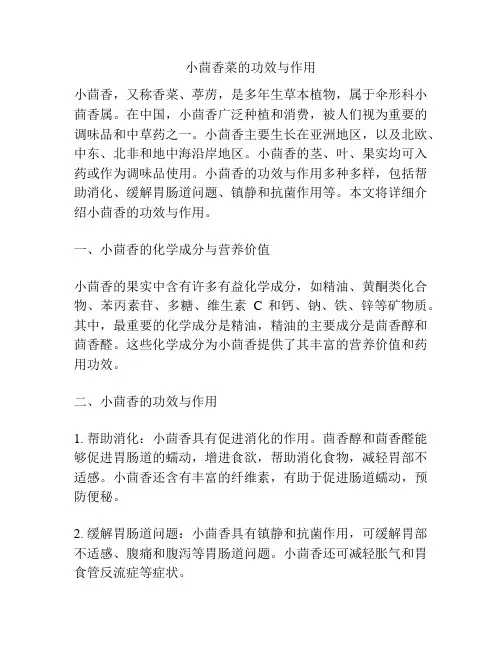 小茴香菜的功效与作用