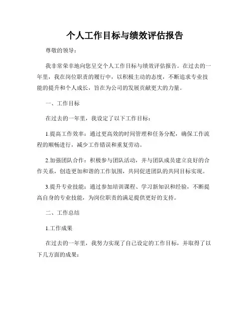 个人工作目标与绩效评估报告