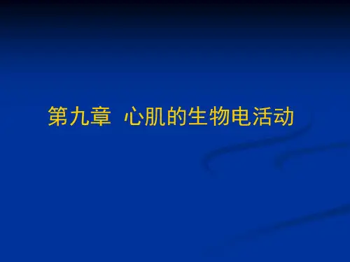 工作心肌细胞的动作电位