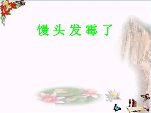 (精选)六年级科学上册馒头发霉了ppt课件2苏教版