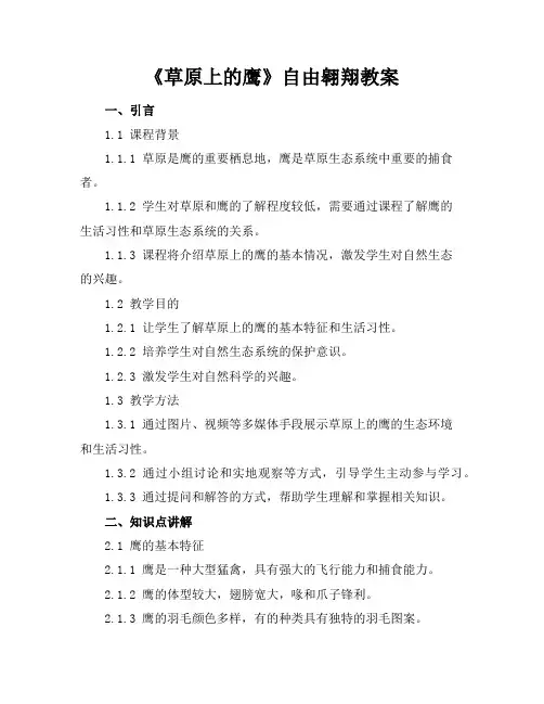 《草原上的鹰》自由翱翔教案