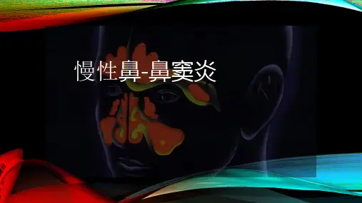 慢性鼻炎鼻窦炎精品课程.pptx
