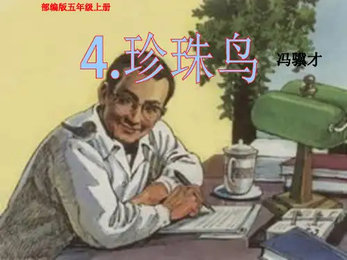 人教部编版五年级语文上册第4课《珍珠鸟》PPT40张