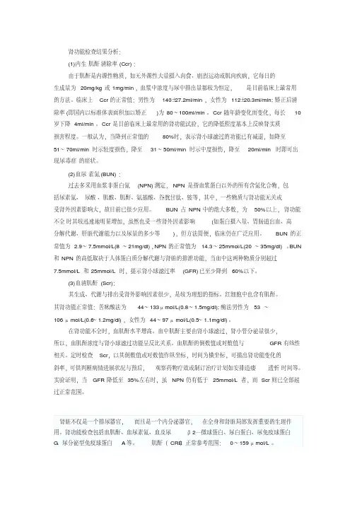 肾功能检查结果讲解