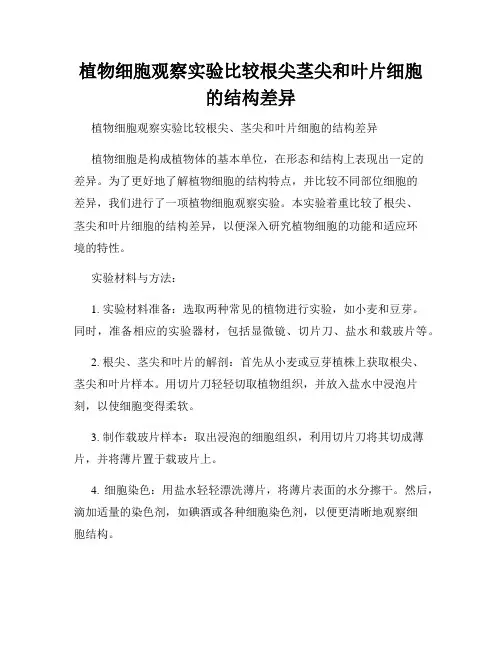 植物细胞观察实验比较根尖茎尖和叶片细胞的结构差异