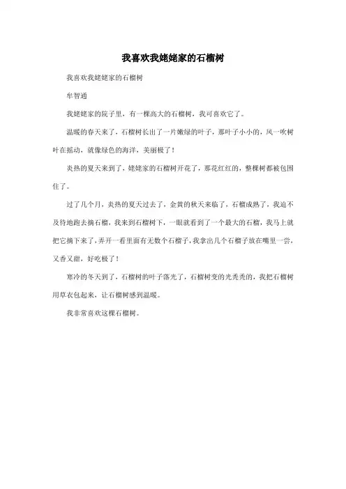 我喜欢我姥姥家的石榴树_小学五年级作文300字