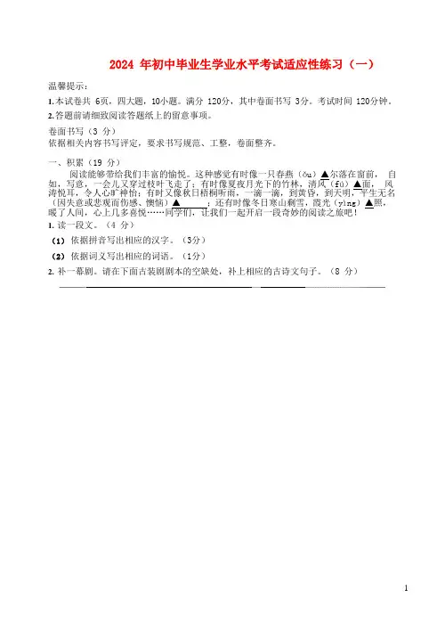 浙江省嘉兴市南湖区2024年初中语文毕业生学业水平考试适应性测试试题