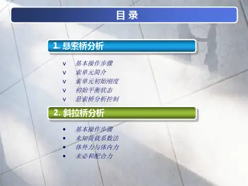 MIDAS索单元应用悬索桥斜拉桥分析