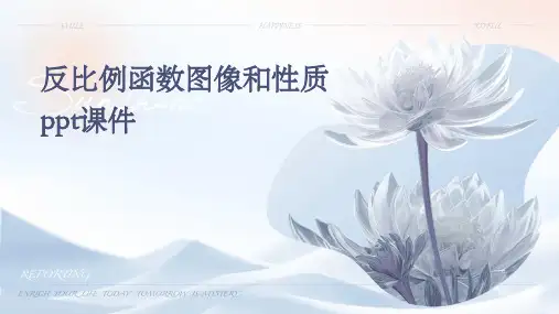 反比例函数图像和性质ppt课件