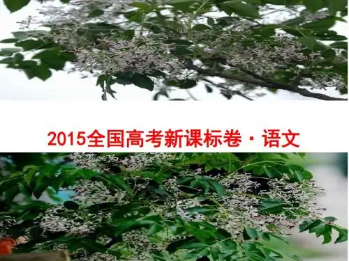 2015全国卷1新课标卷语文详解