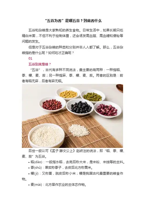 “五谷为养”是哪五谷？到底养什么
