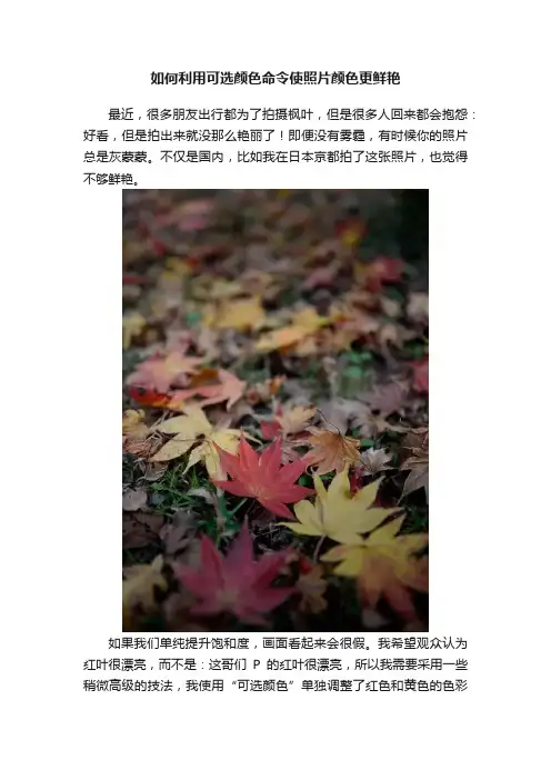 如何利用可选颜色命令使照片颜色更鲜艳