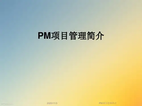 PM项目管理简介