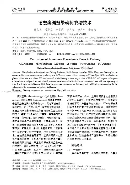 德宏澳洲坚果幼树栽培技术