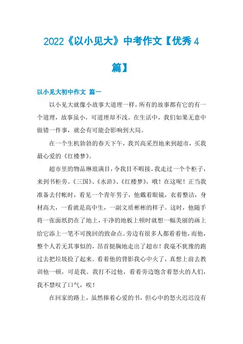 2022《以小见大》中考作文【优秀4篇】