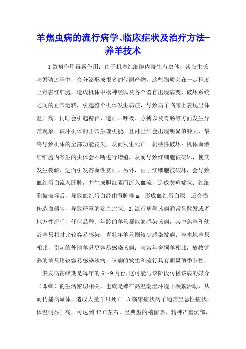 羊焦虫病的流行病学、临床症状及治疗方法 - 养羊技术
