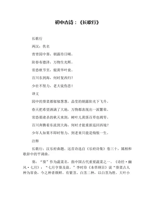 初中古诗：《长歌行》