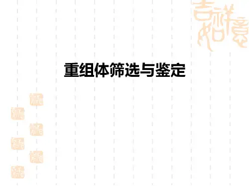 实验17-重组体筛选与鉴定