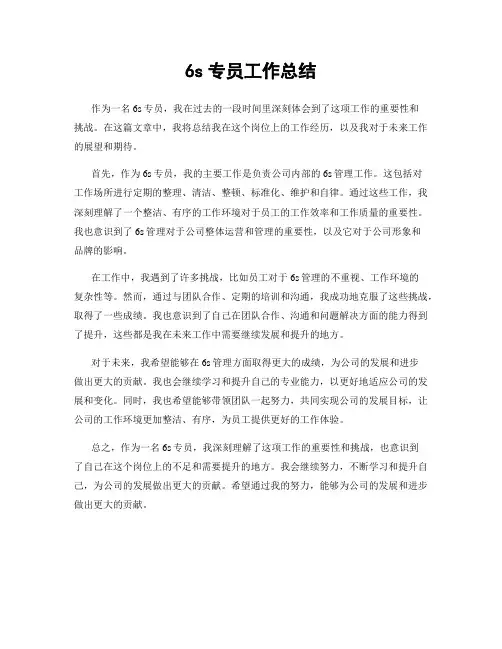 6s专员工作总结