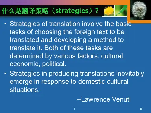 英汉对比翻译策略和技巧ppt课件