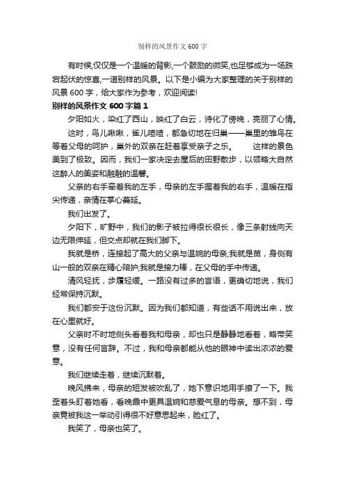 别样的风景作文600字_写景作文_