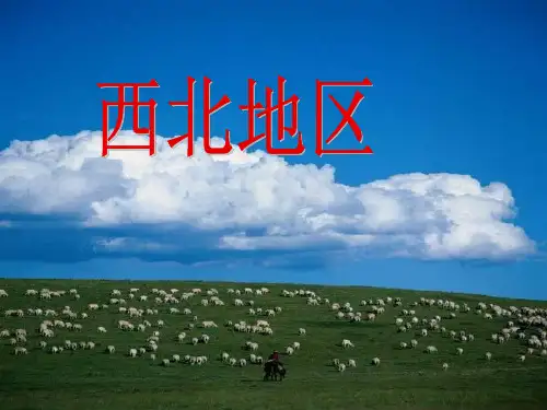 中国的西北地区