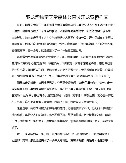 亚龙湾热带天堂森林公园过江龙索桥作文