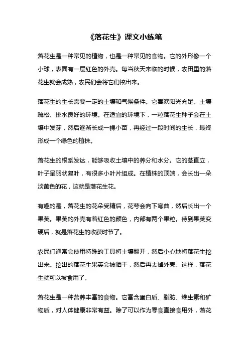 《落花生》课文小练笔