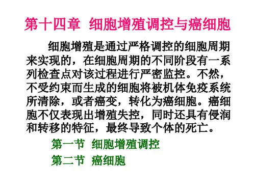 第十四章细胞增殖调控详解