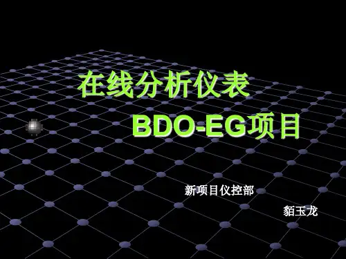 在线分析仪表BDO-EG