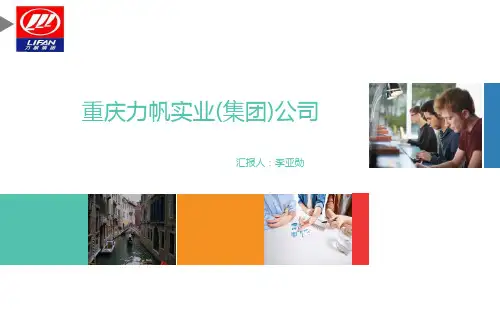 力帆集团—李亚勋