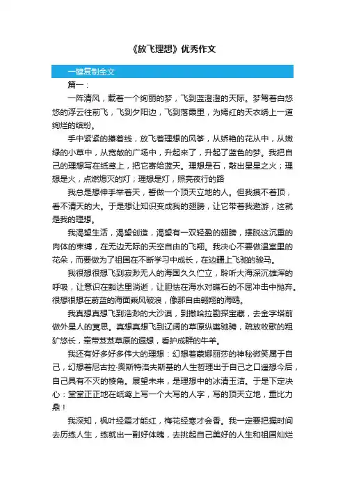 《放飞理想》优秀作文