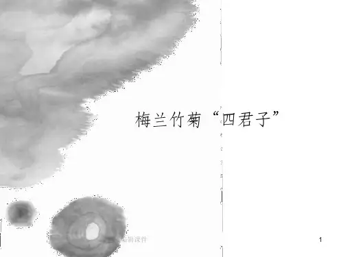 梅兰竹菊四君子ppt课件
