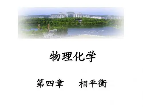 物理化学第四章