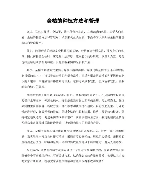 金桔的种植方法和管理