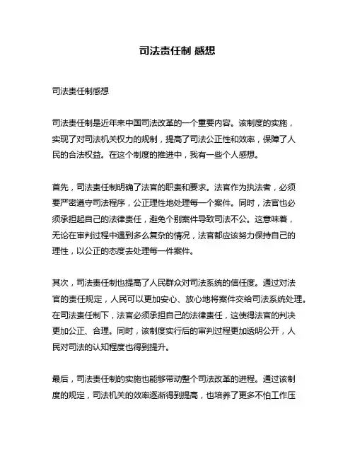 司法责任制 感想