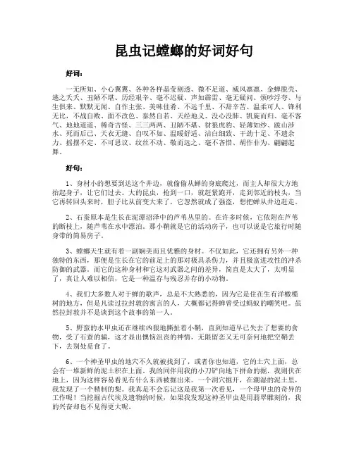 昆虫记螳螂的好词好句