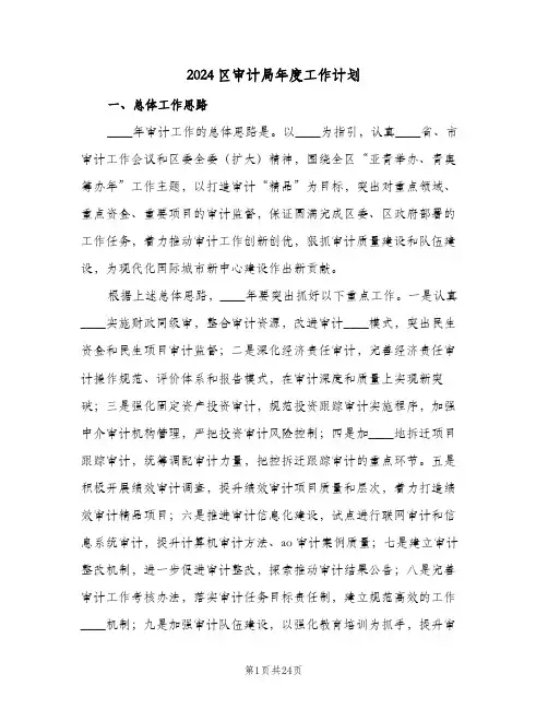 2024区审计局年度工作计划(6篇)
