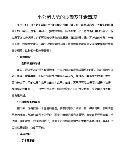小公猪去势的步骤及注意事项