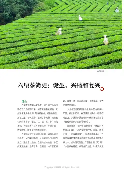 六堡茶简史：诞生、兴盛和复兴