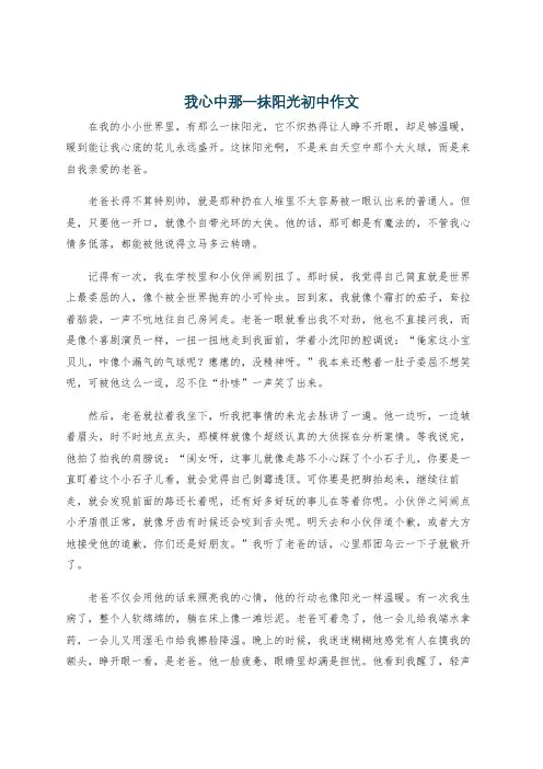 我心中那一抹阳光初中作文