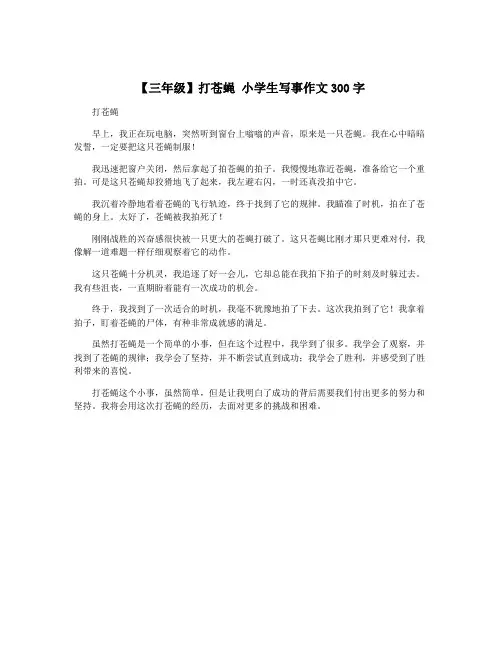 【三年级】打苍蝇 小学生写事作文300字