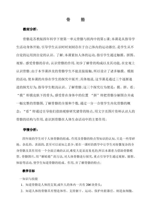 骨骼教学设计