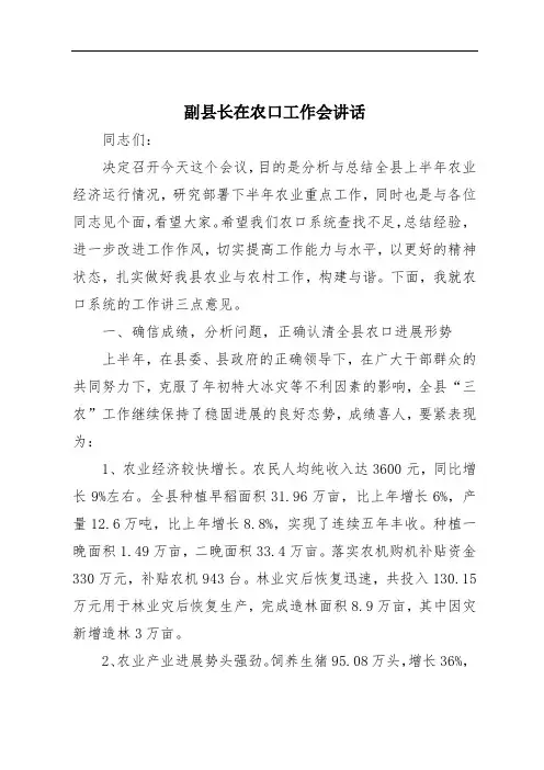 副县长在农口工作会讲话