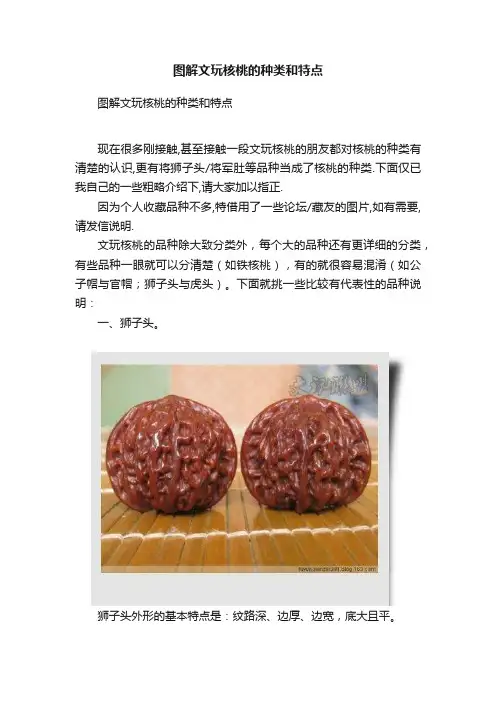 图解文玩核桃的种类和特点