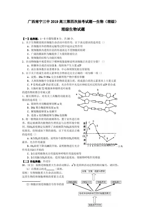 广西南宁三中2019高三第四次抽考试题--生物(理综)