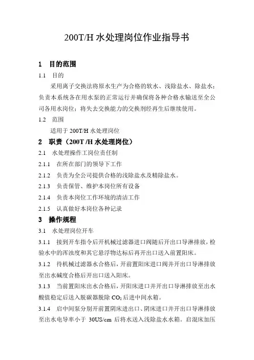 200T水处理作业指导书